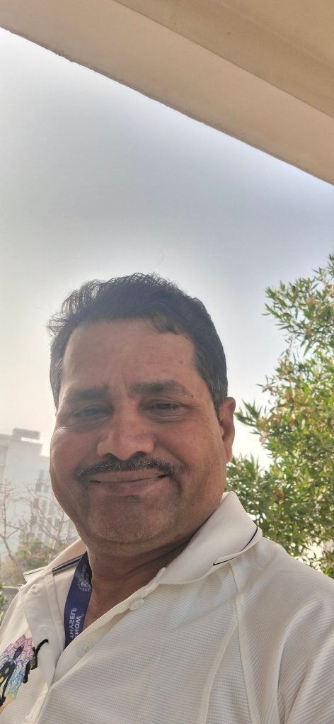 比瓦迪树屋俱乐部水疗酒店-官方