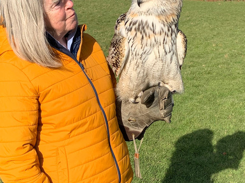 UK Owl And Raptor Centre-Groombridge必去景点