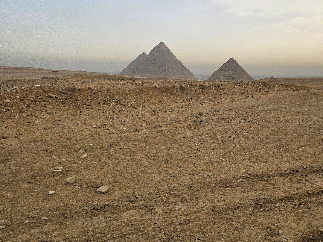 Dolphin House Aqua Center-赫尔格达必去景点