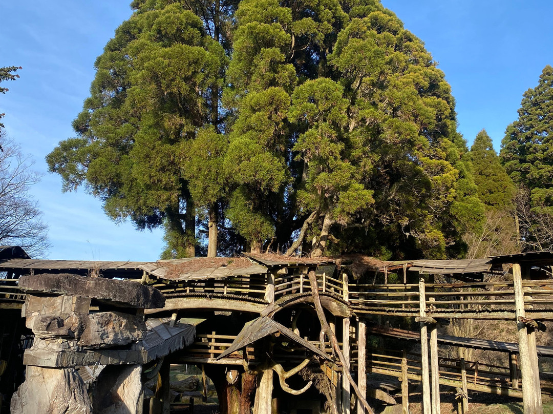 Takamori Tree House-高森町必去景点