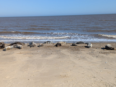 Horsey Beach-Horsey必去景点