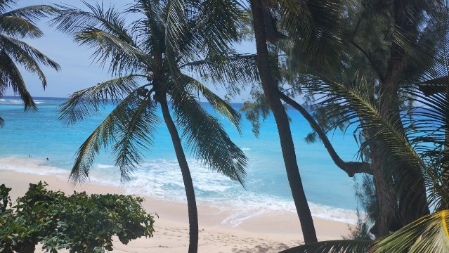 珊瑚雾海滩酒店-官方