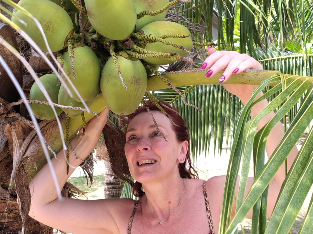 Thailandream-清迈必去景点