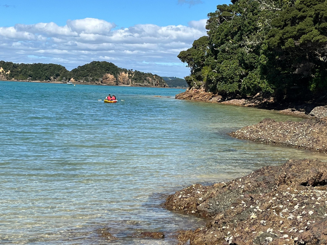 Urupukapuka Island-派希亚必去景点