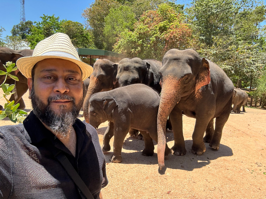 Relax Lanka Tours-尼甘布必去景点