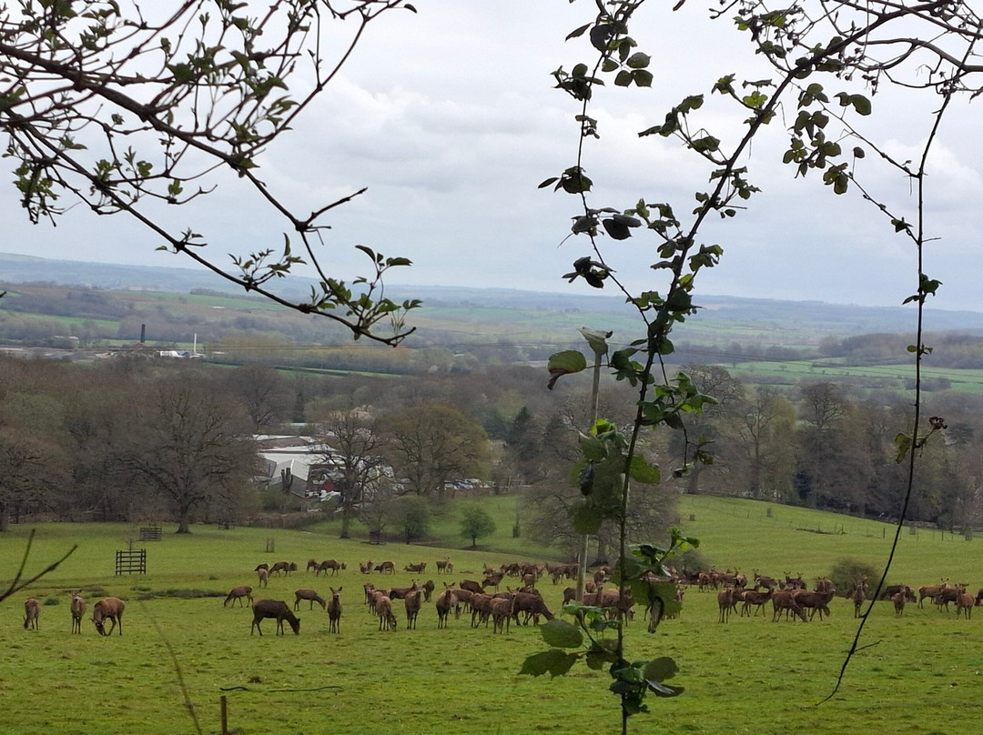 Greystones Farm-水上伯顿必去景点