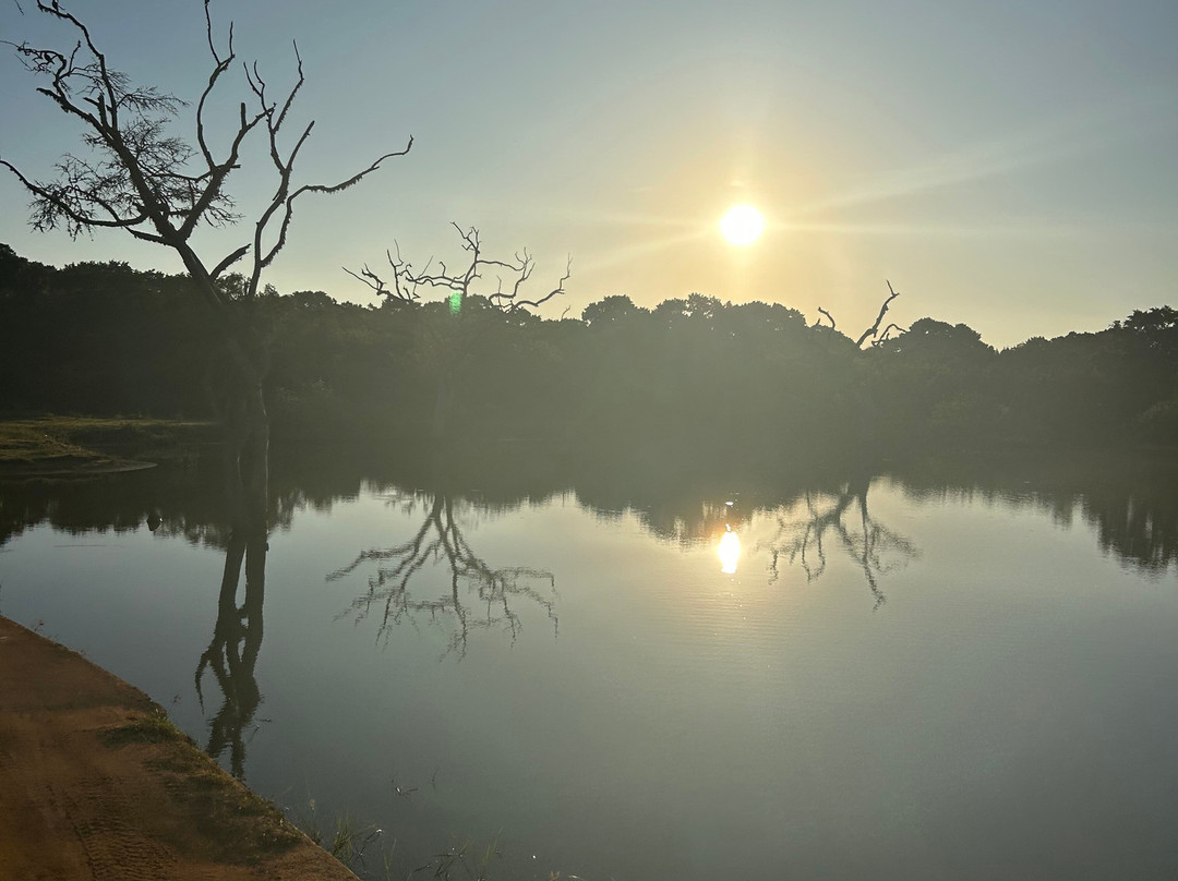 Freedom Safari Jeep Tours-蒂瑟默哈拉默必去景点