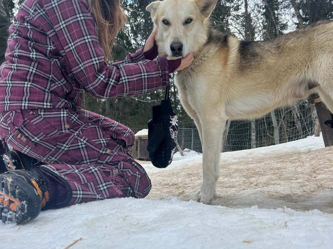 Beito Husky Tours Day Tours-Beito必去景点