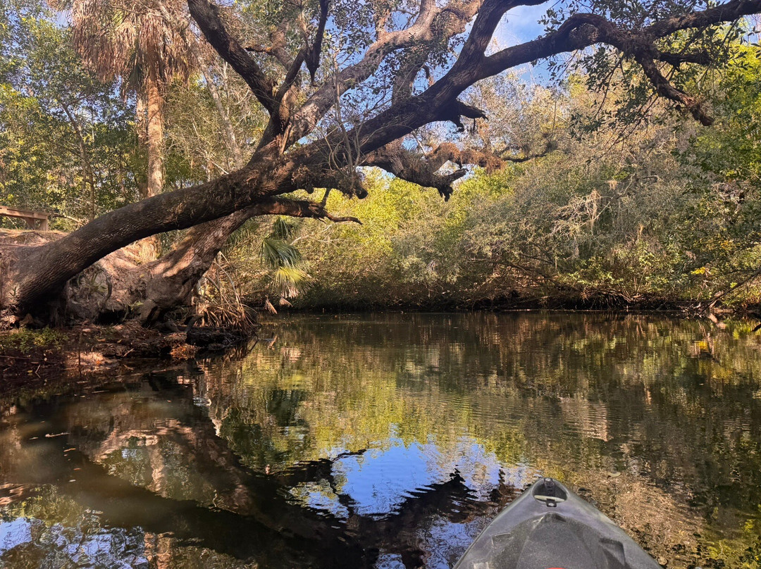 Estero River Outfitters-埃斯特罗必去景点