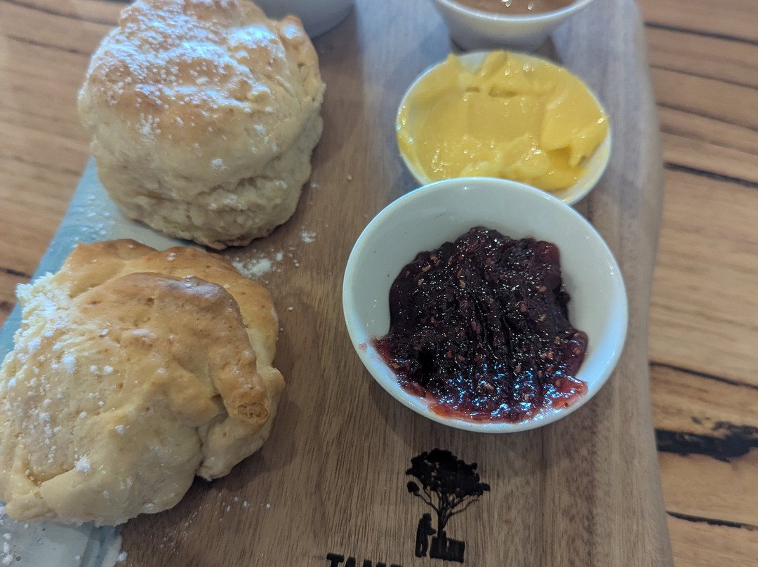 Venture Out Australia-莱克斯恩特伦斯必去景点