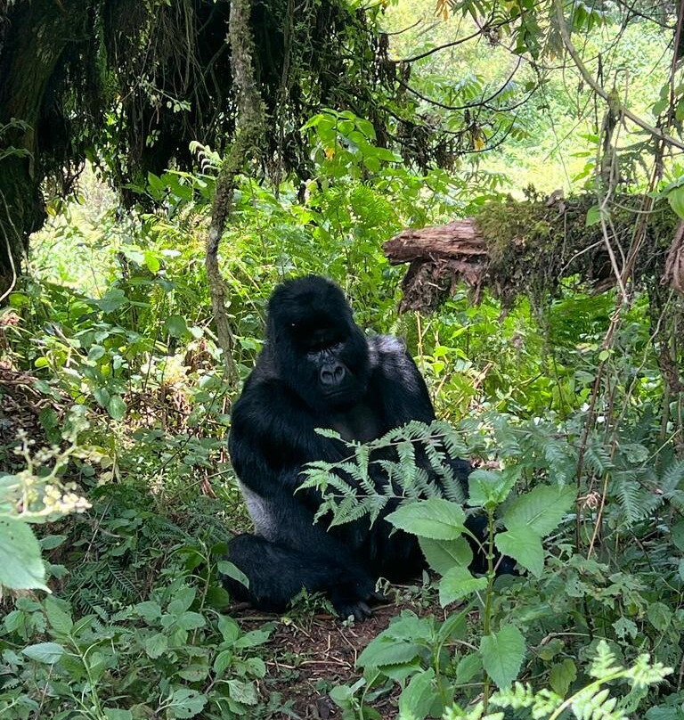 Explore RwandaTours-吉佳利必去景点