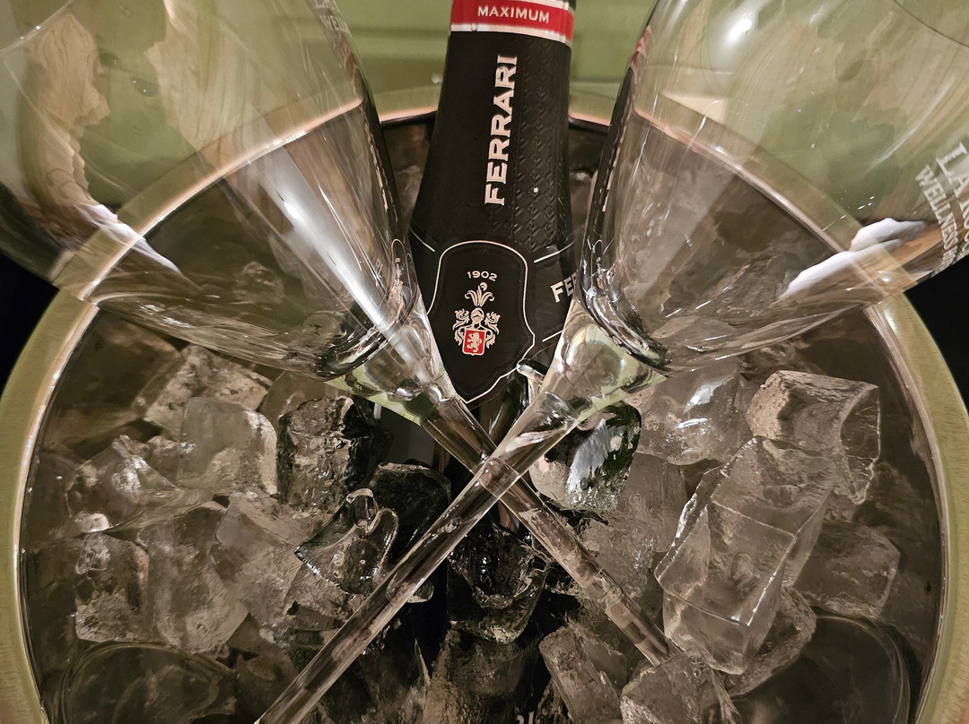 洛奇亚养生酒店主图