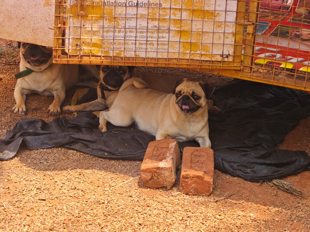 Cloud Forest Entertainment Park-Yelagiri必去景点