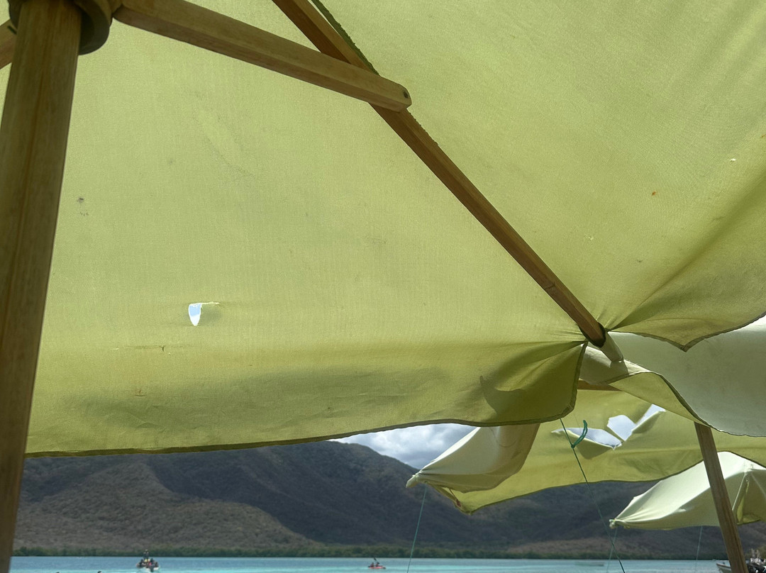 Playa La Cienaga-Ocumare de la Costa必去景点