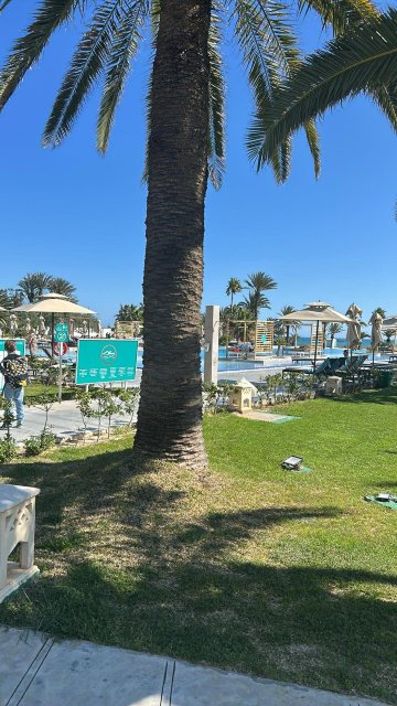 JAZ土耳卡里芙-官方