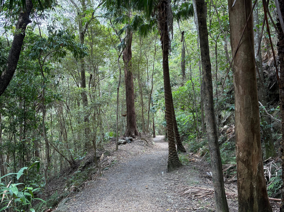 Buderim - Palmwoods Heritage Tramway-Buderim必去景点