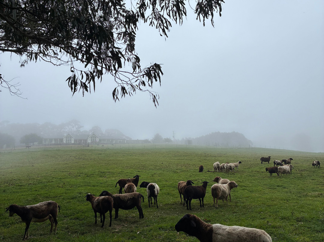 Kenzell Farm-Oberon必去景点