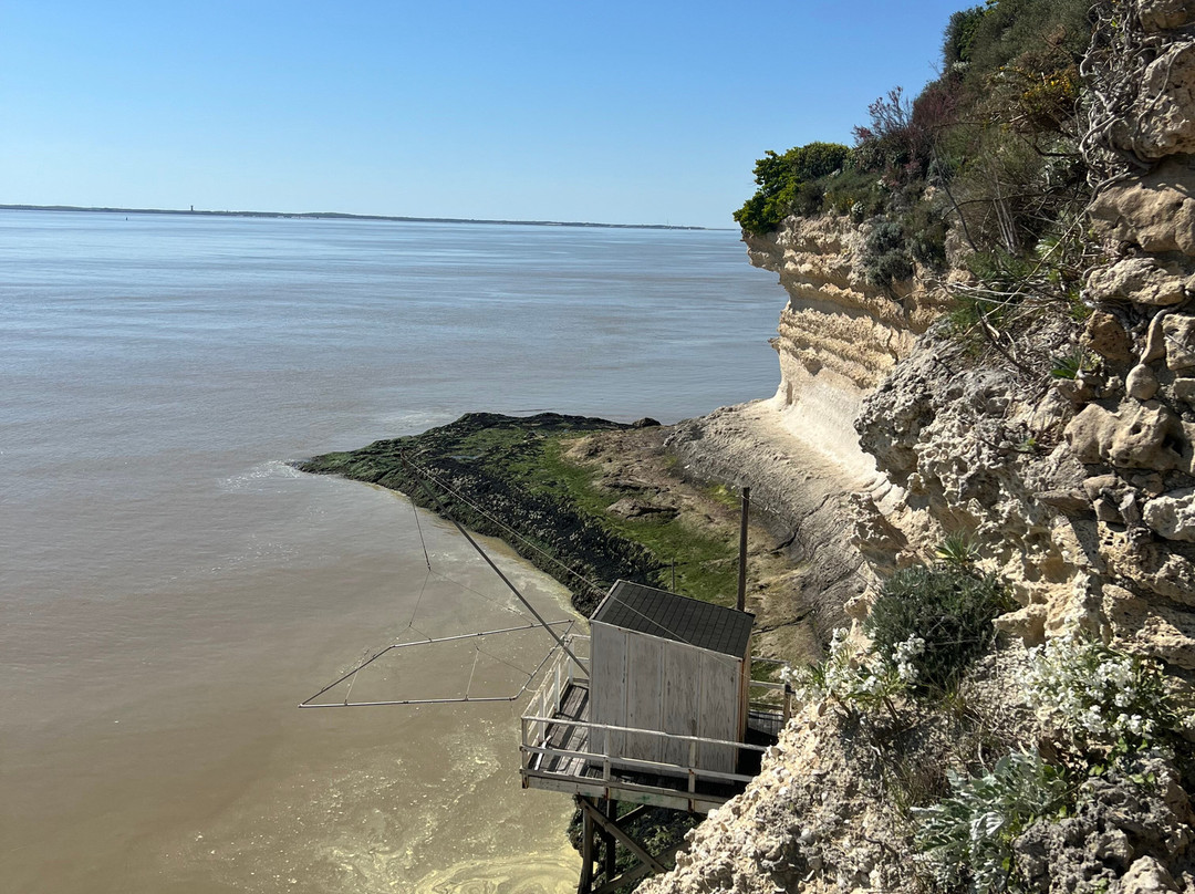Grottes du Régulus-Meschers-sur-Gironde必去景点