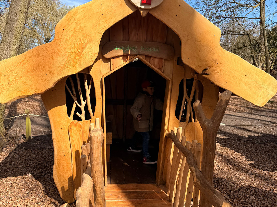 Audley End Miniature Railway-Saffron Walden必去景点