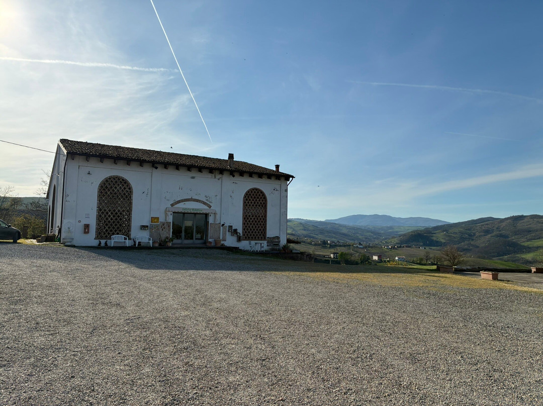 Agriturismo Cella di Montalto主图