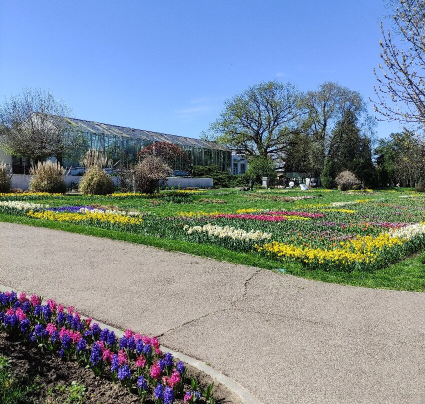Grădina Botanică Craiova (Botanical Garden)-克拉约瓦必去景点