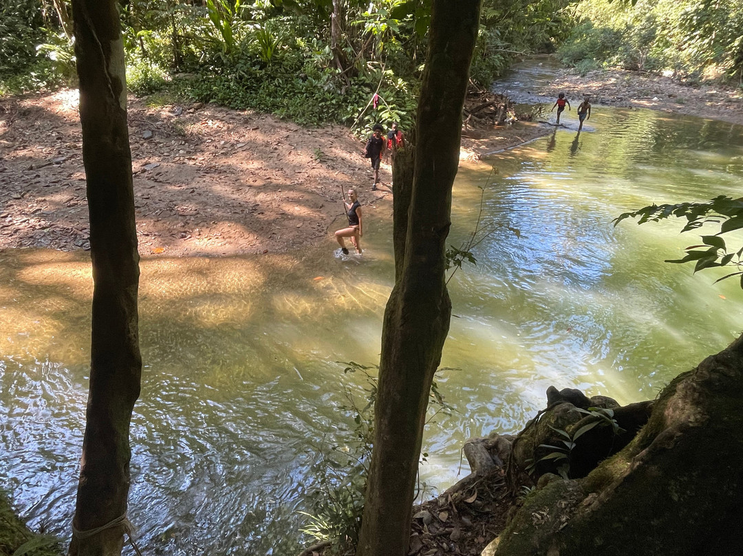 Caribbean Discovery Tours-西班牙港必去景点