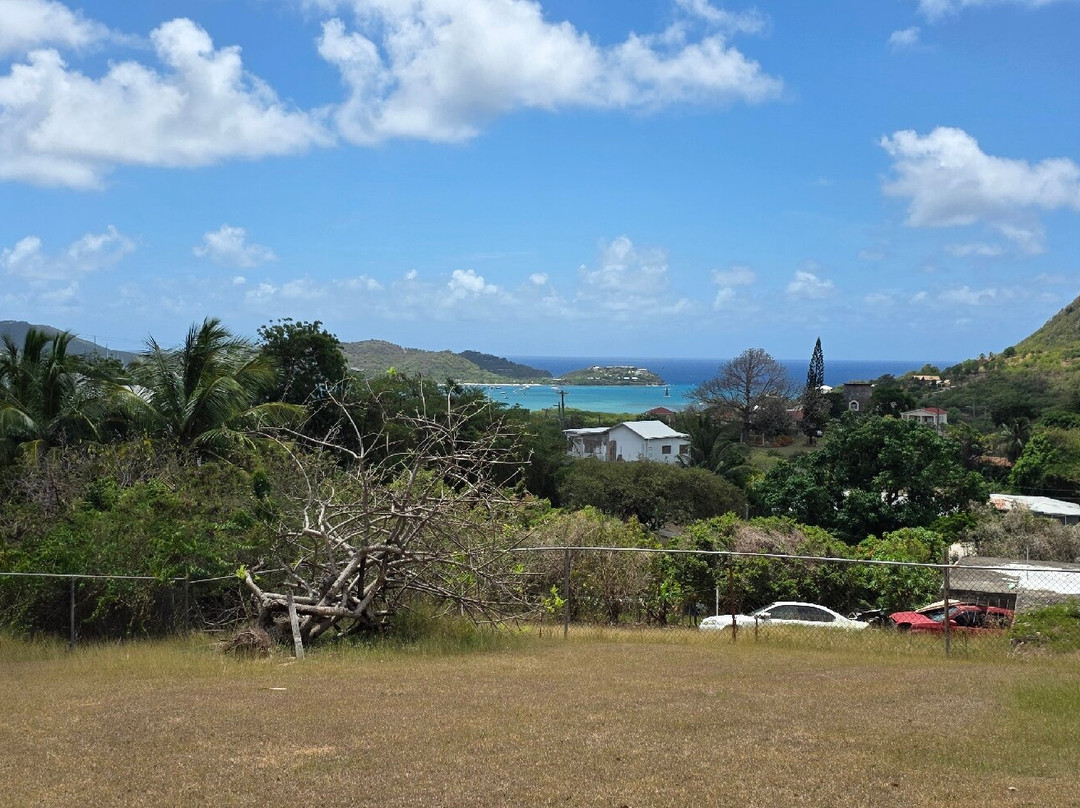 Carib Bean Coffee Company-Falmouth必去景点