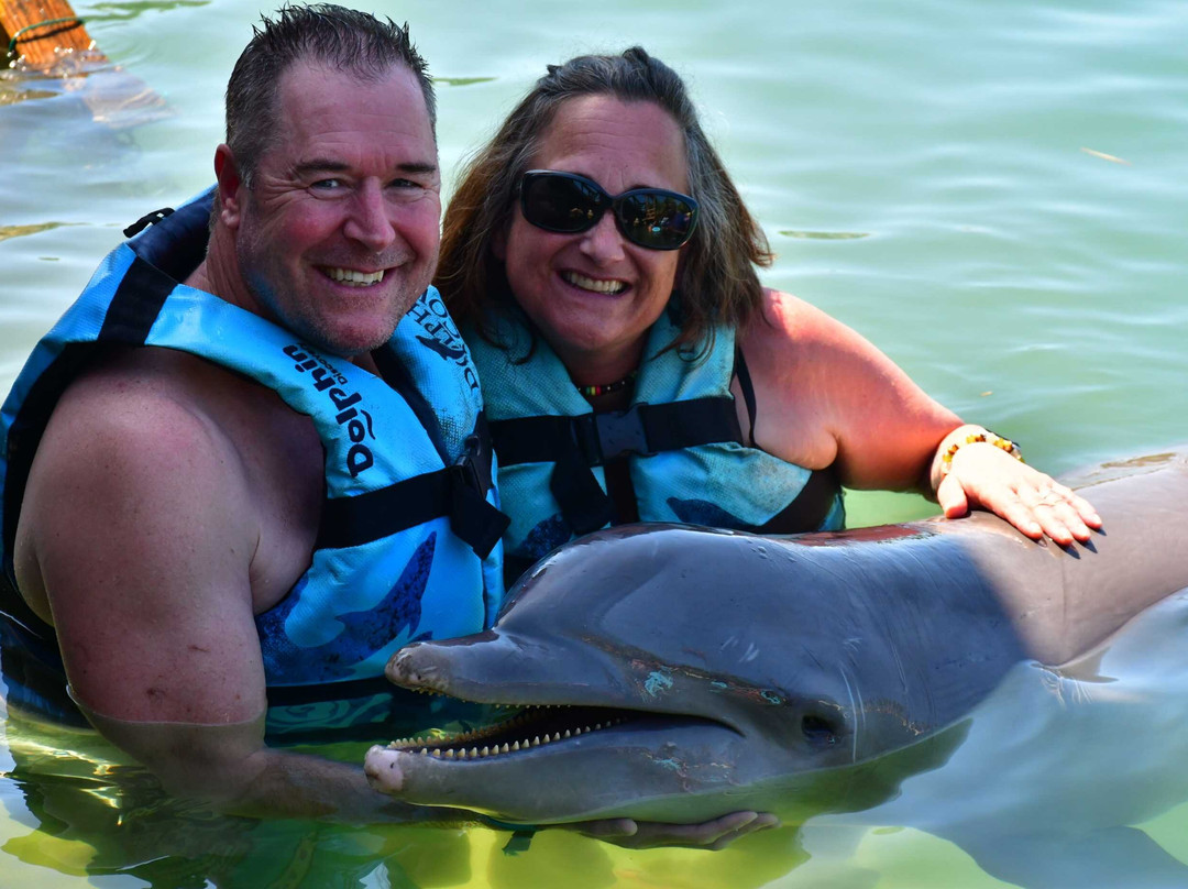 Dolphin Cove Montego Bay-Lucea必去景点