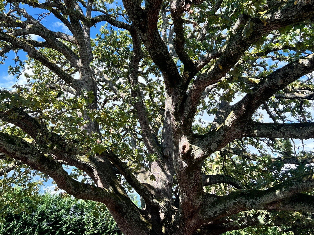 Coombe Yarra Valley-科尔德斯特里姆必去景点