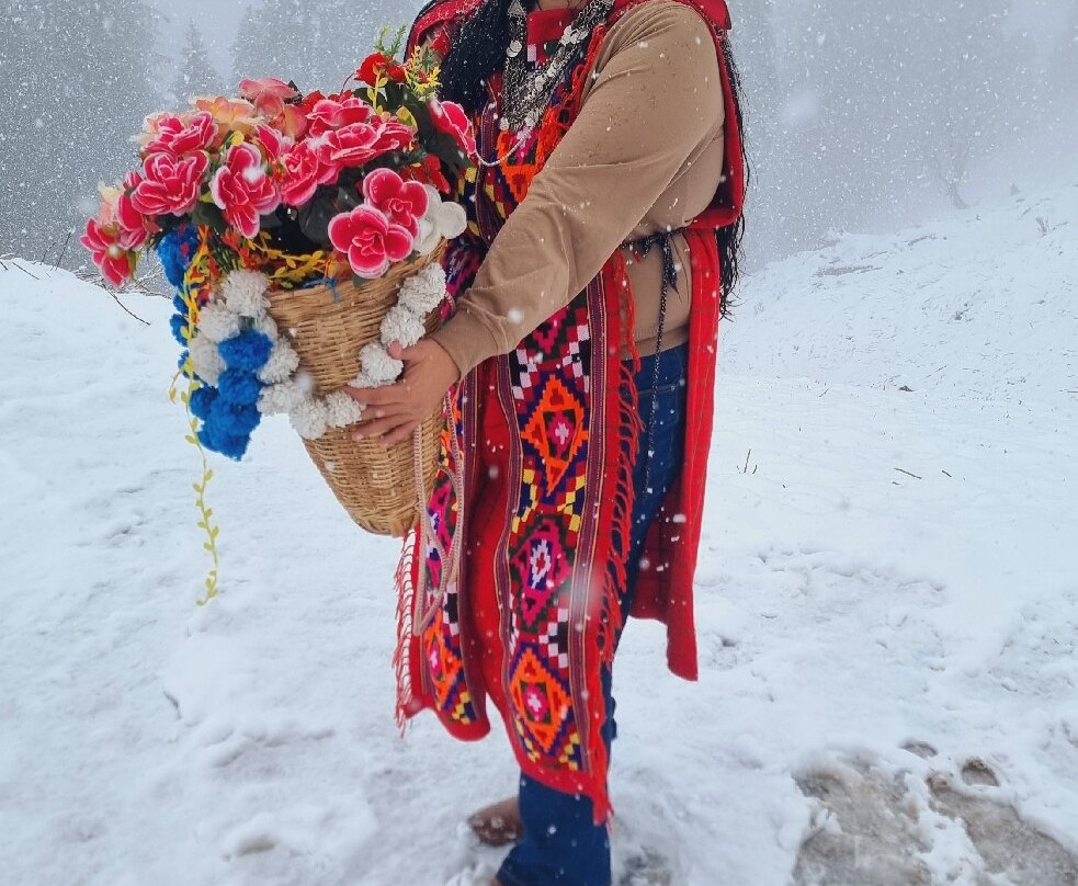 Solang Ski Resort主图