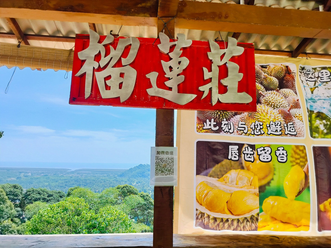 Durian Tree House-浮罗山背必去景点