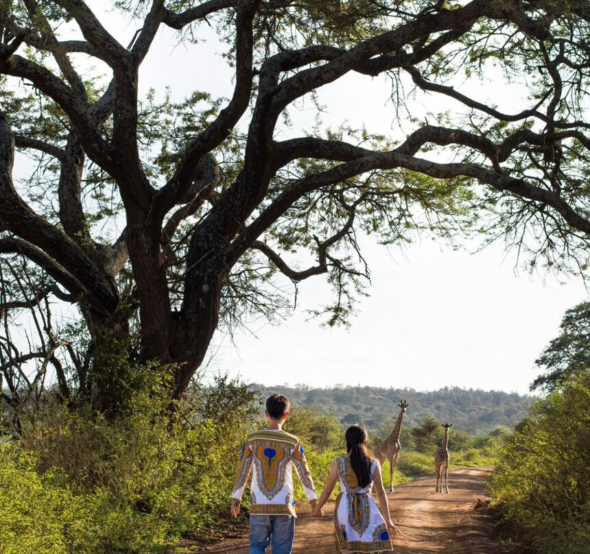 A premier Destination Wedding Company-Dar es Salaam必去景点