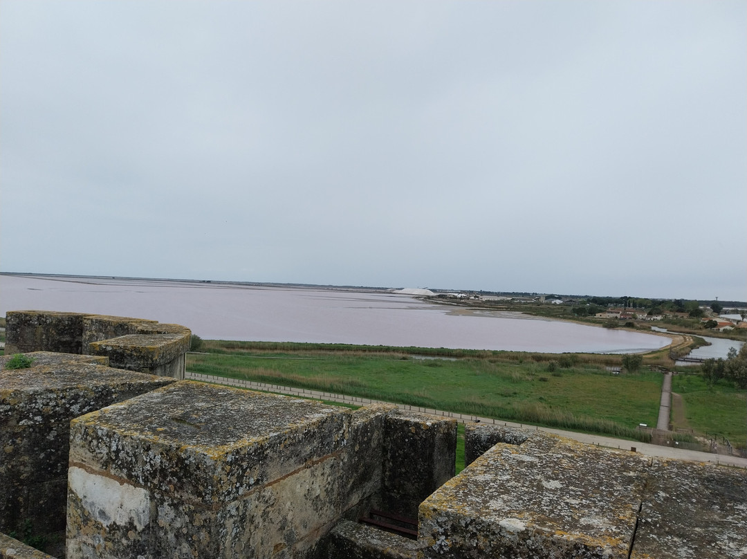 Towers and Ramparts of Aigues-Mortes-艾格莫尔特必去景点