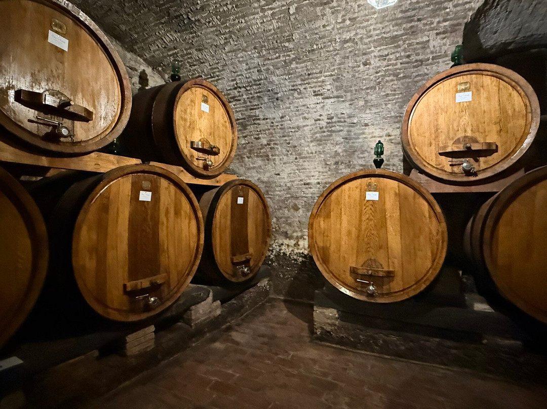 Azienda Agricola Ercolani-蒙特普尔恰诺必去景点