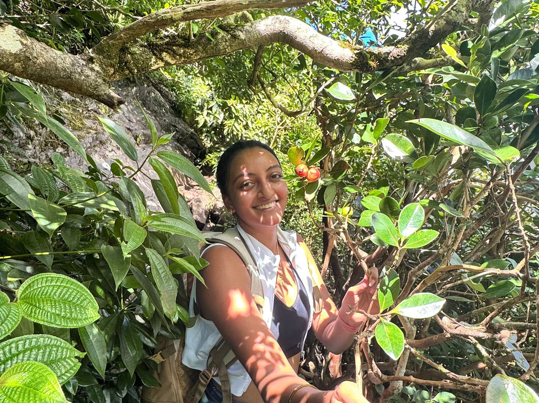 GoHike Mauritius-庞波慕斯必去景点