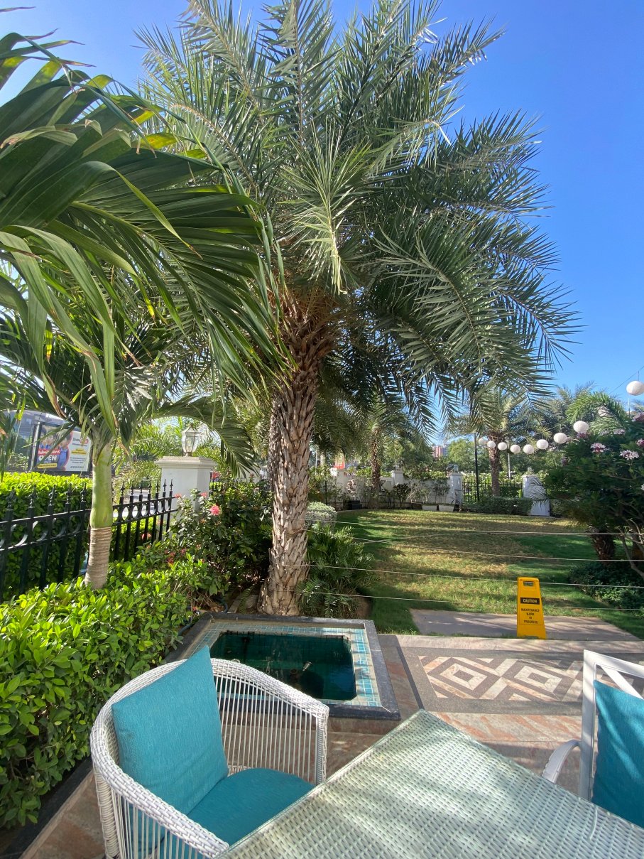 希洛克艾哈迈达巴德-旅行者