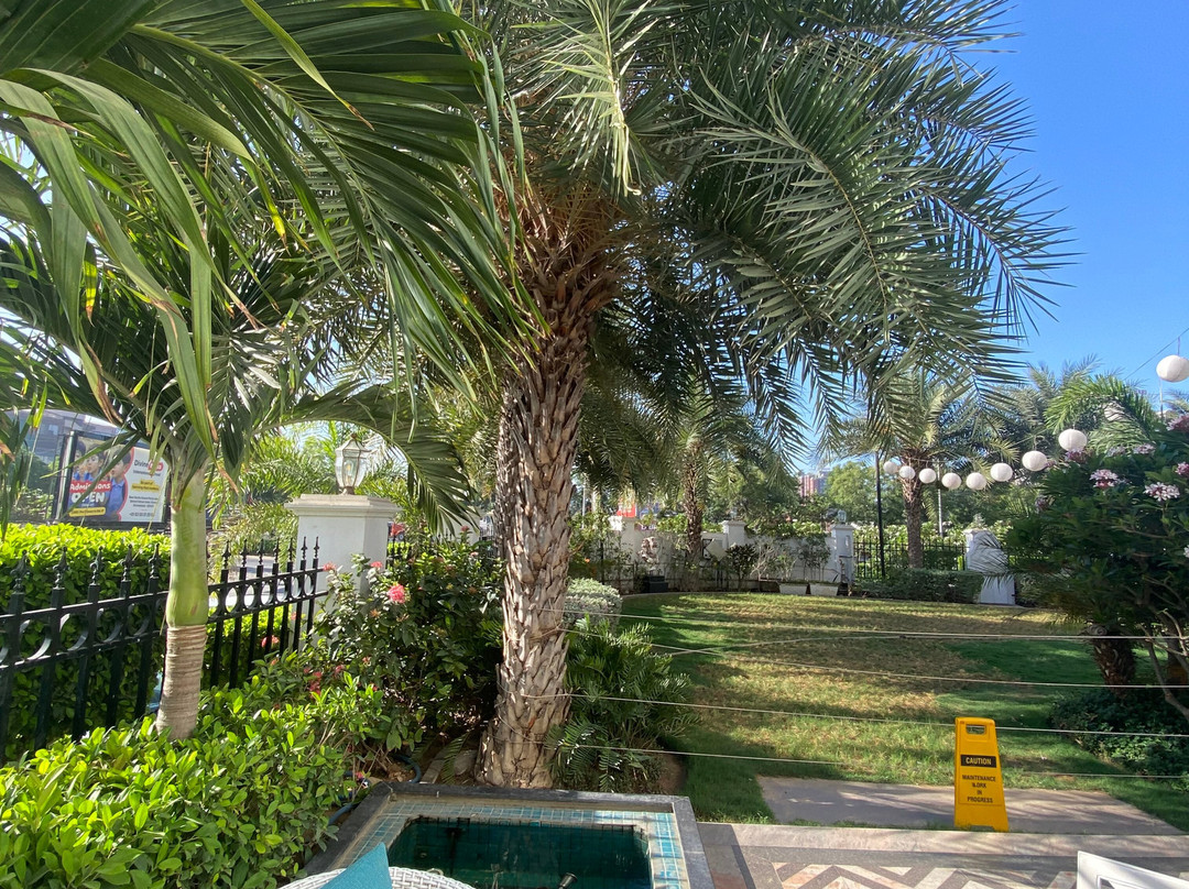 希洛克艾哈迈达巴德主图