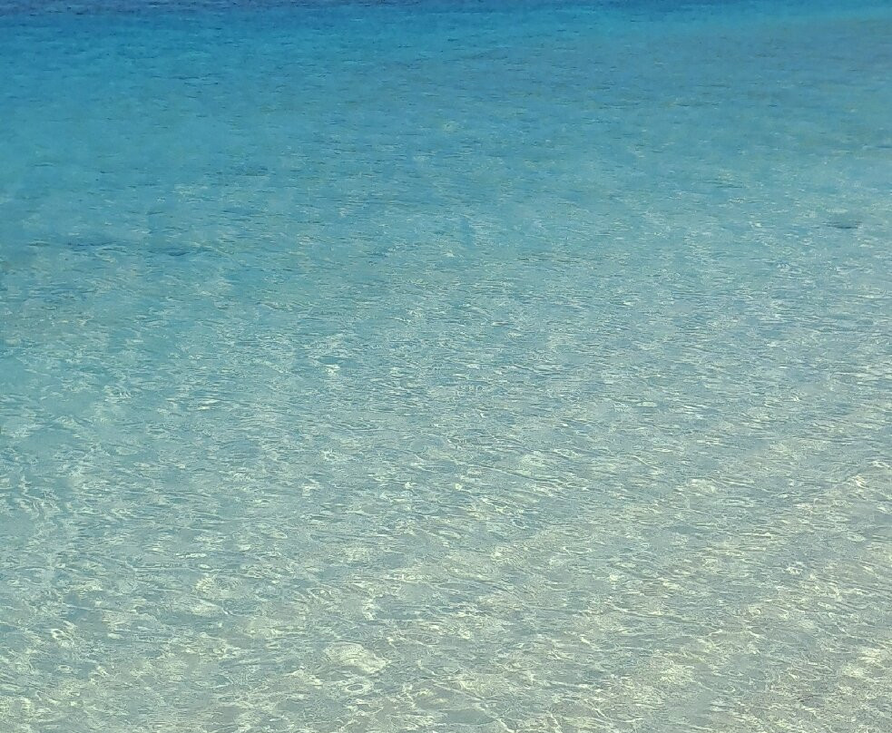 Kamadhoo Inn主图