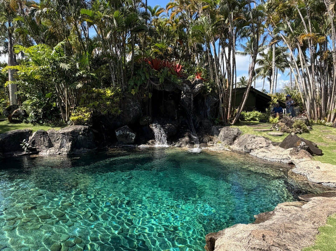 Na Aina Kai Botanical Gardens-基拉韦厄必去景点