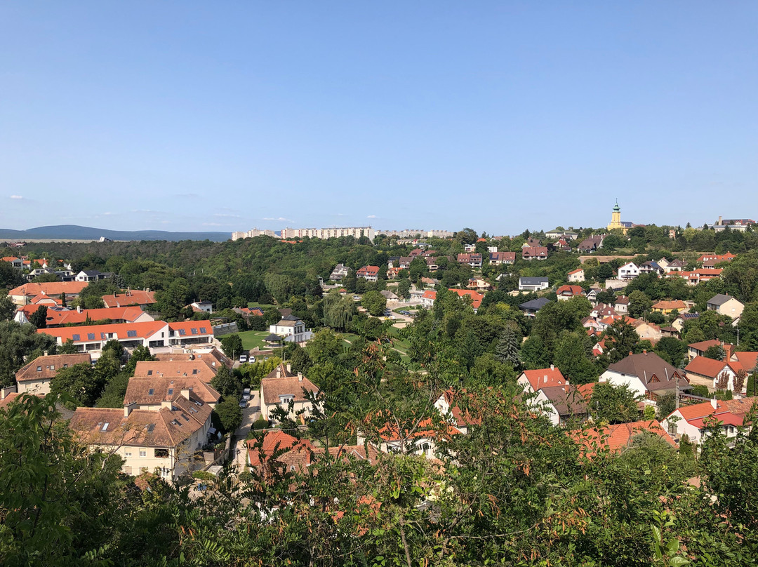 Castle Hill (Veszpremi Varhegy)-维斯普雷姆必去景点