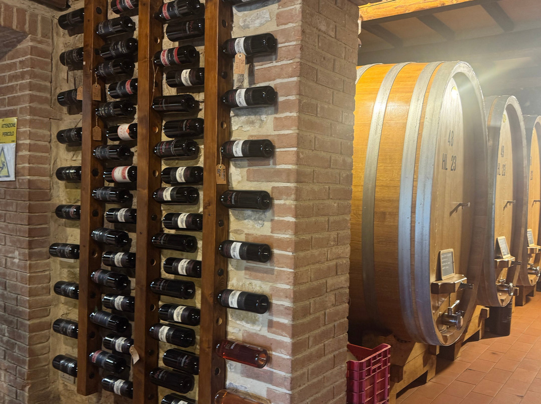 Casanuova delle Cerbaie-蒙塔尔奇诺必去景点