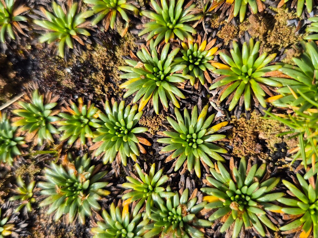 David Expeditions Peru-乌鲁班巴必去景点