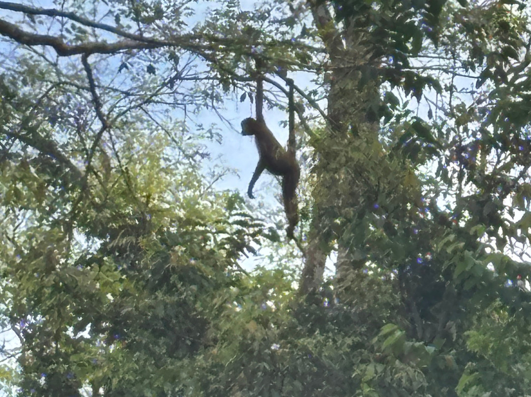拉古纳小屋全膳主图