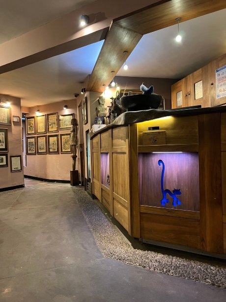 萨卡曼加酒店-旅行者