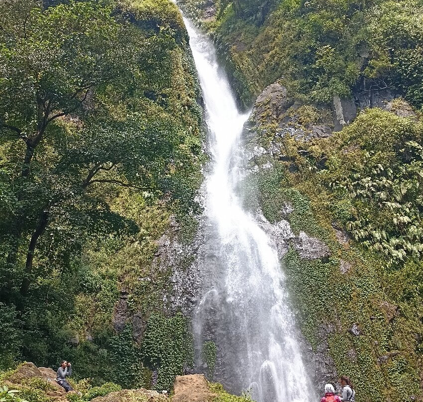 Alavia Tour-万隆必去景点