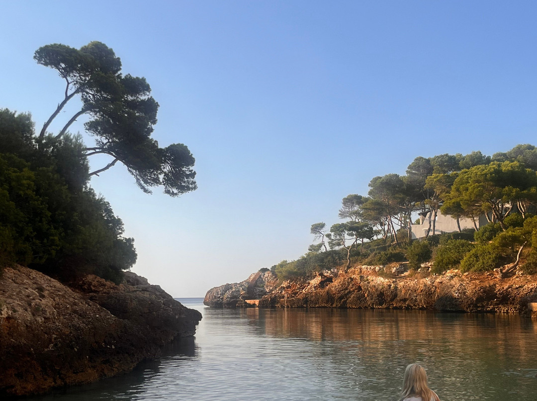 AluaSoul Mallorca Resort - Adults Only主图