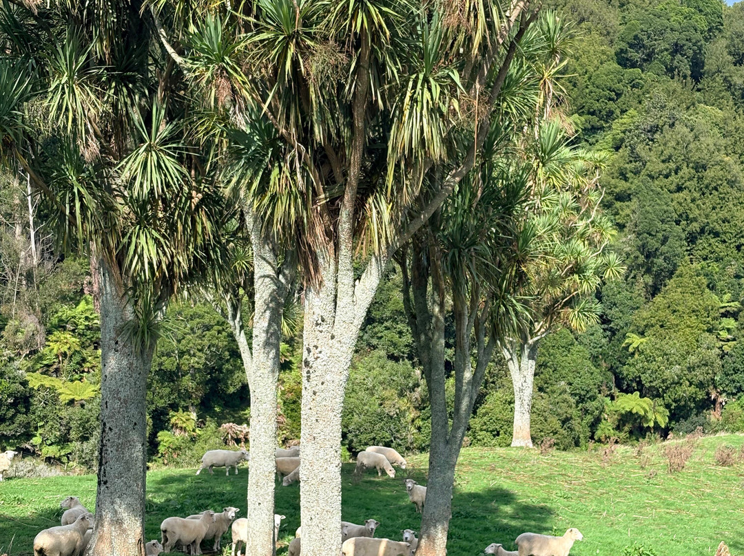 Real  Native  -  Walking Retreat-Te Awamutu必去景点