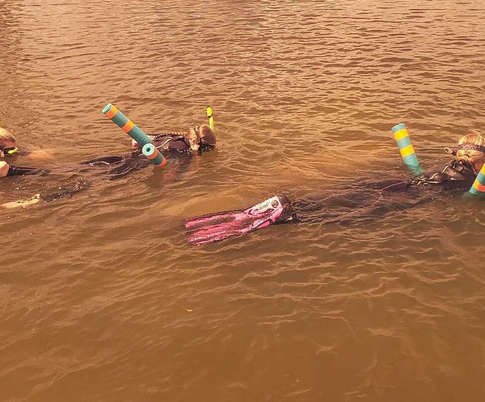 Crystal River Manatee Adventures-克里斯特尔里弗必去景点