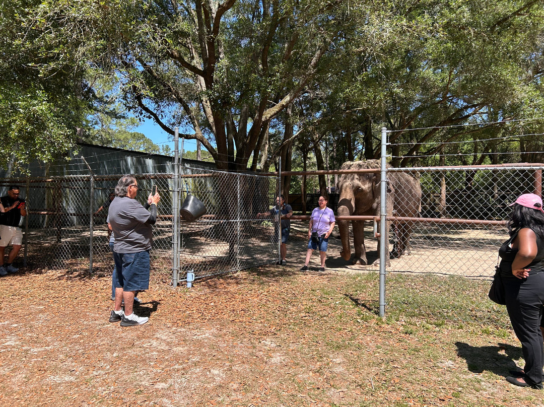 Two Tails Ranch: All About Elephants-Williston必去景点