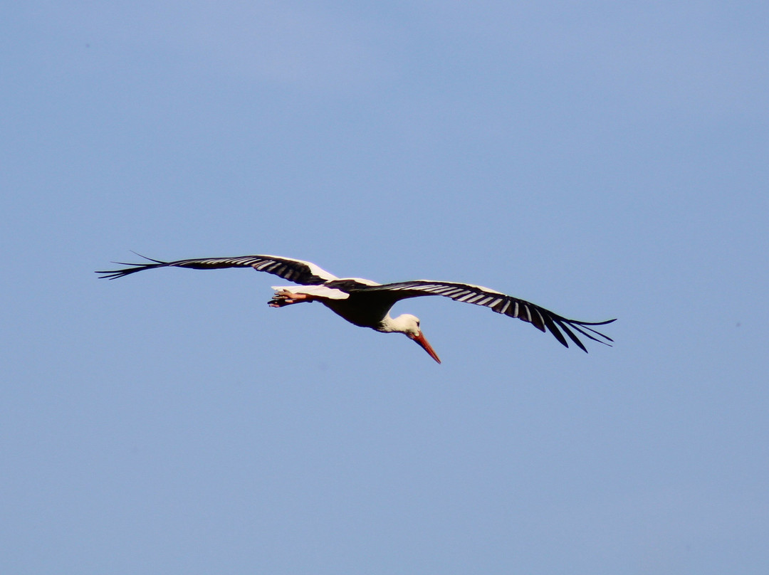 Domaine des Oiseaux-Mazeres必去景点